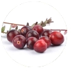 Cranberry Juice Powder